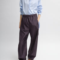 Crispy Nylon Winslow Pant
