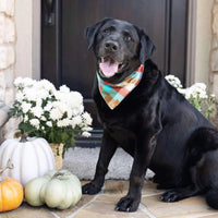 Taos Flannel Dog Bandana