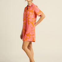 Dana Amberglow Dress