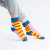 Super Stripe House Socks