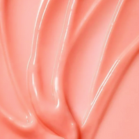 Mini Lip Sleeping Mask