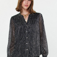 Metallic Button Down Top