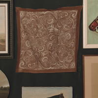 The Stetson Western Paisley Scarf