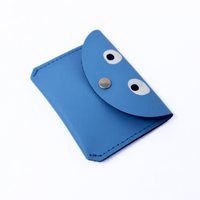 Googly Eye Mini Coin Purse