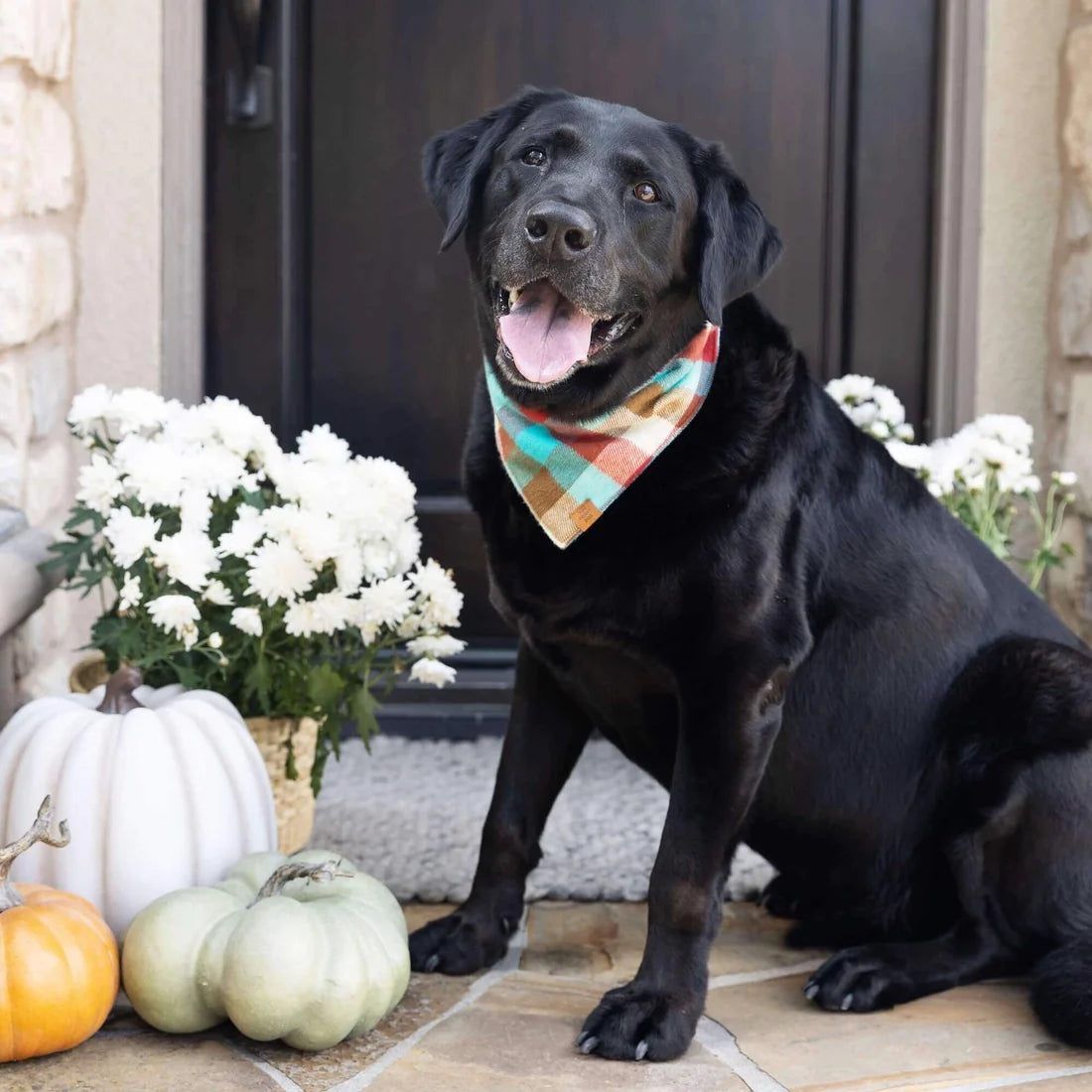 Taos Flannel Dog Bandana