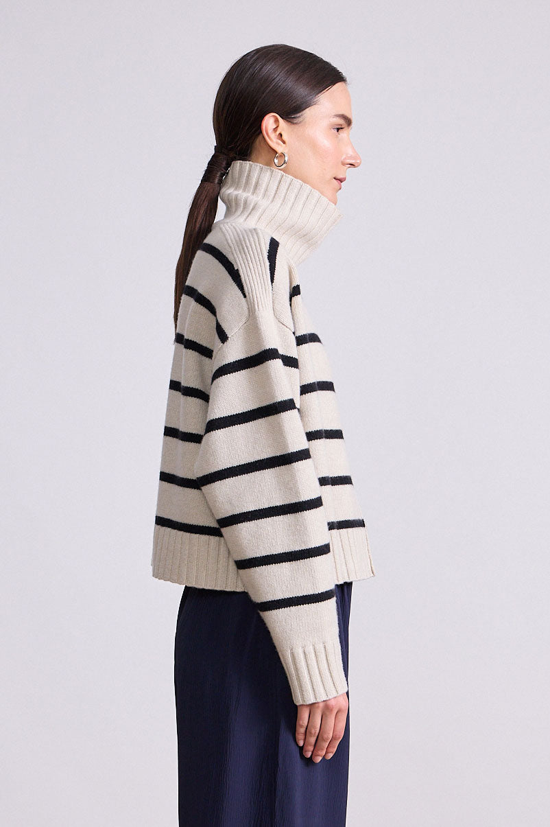 Ari Cropped Turtleneck