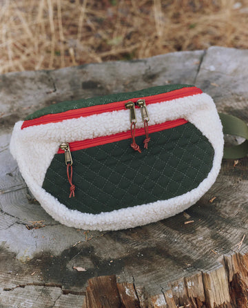 The Plush Colorblock Hip-Pack