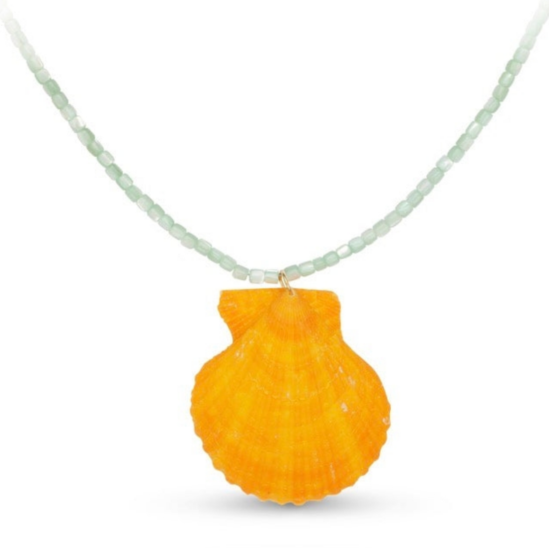 Isla Seashell Necklace