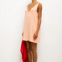 Ari Mini Dress