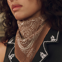 The Stetson Western Paisley Scarf