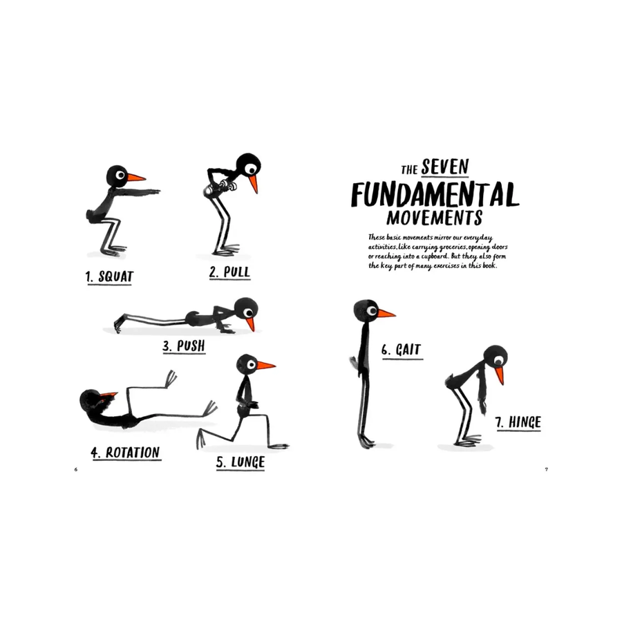 How to be a Fit Bird