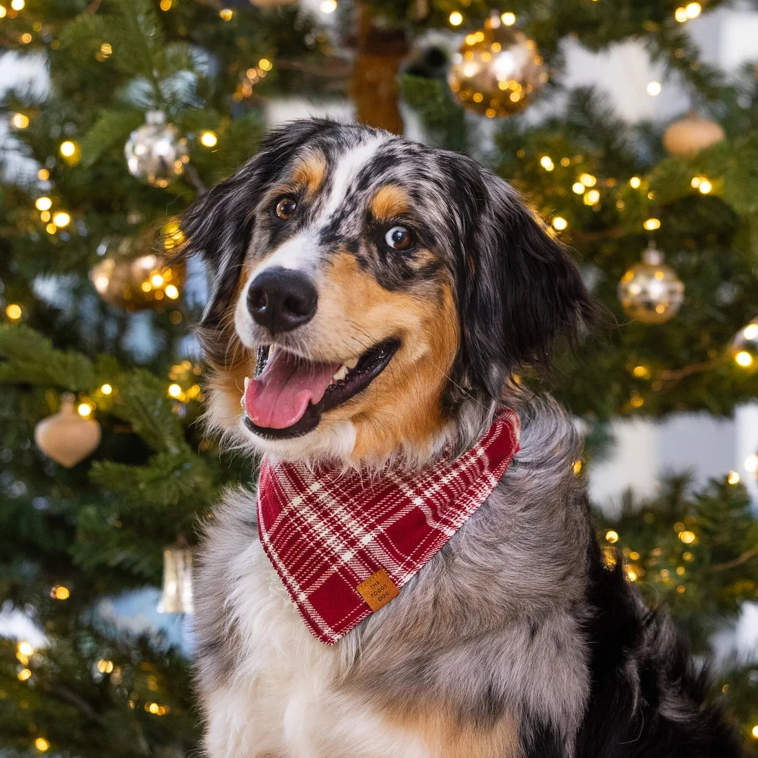 Marsala Plaid Dog Bandana